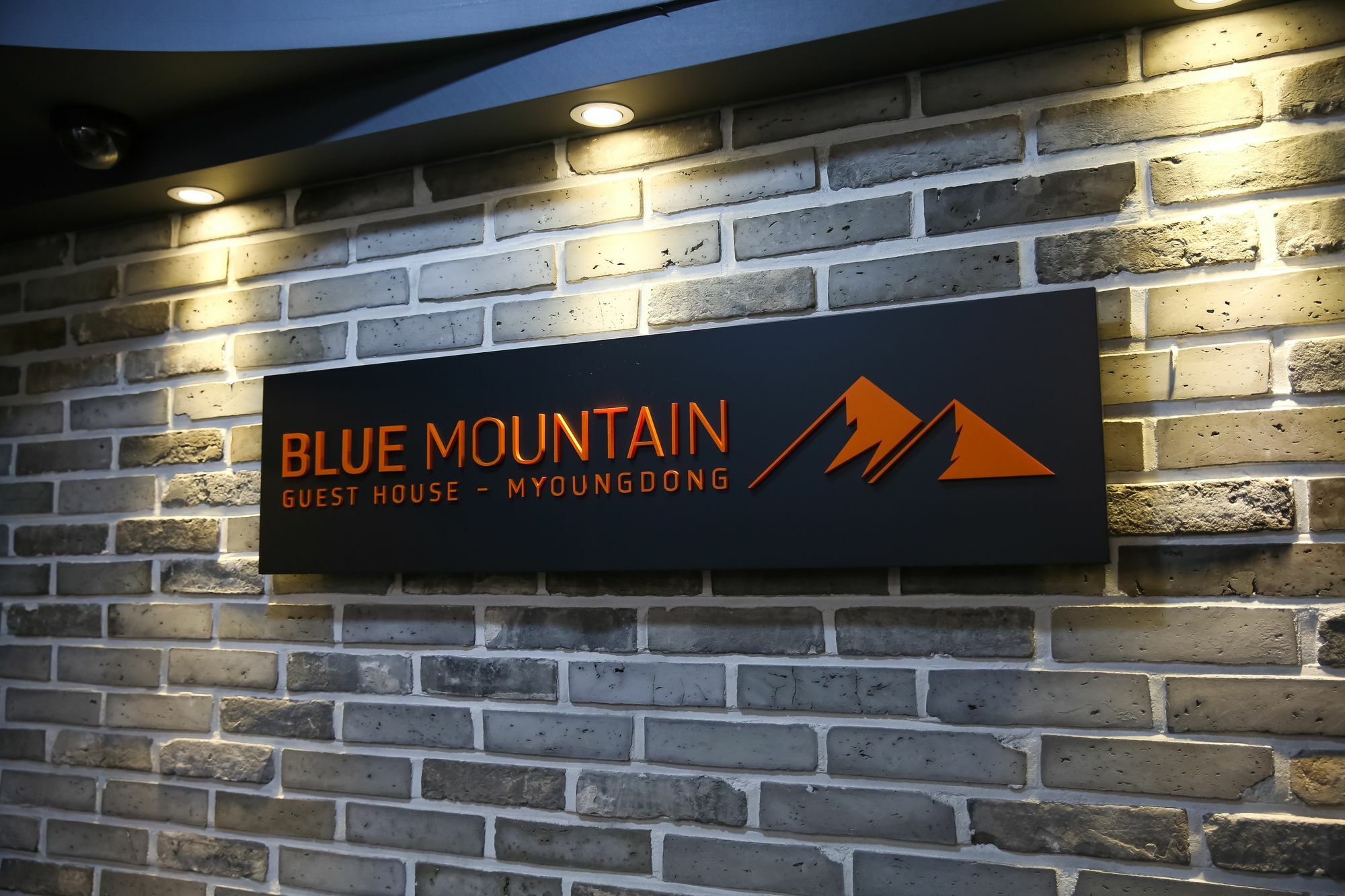 Blue Mountain Myeong-Dong Hotel Сеул Екстериор снимка