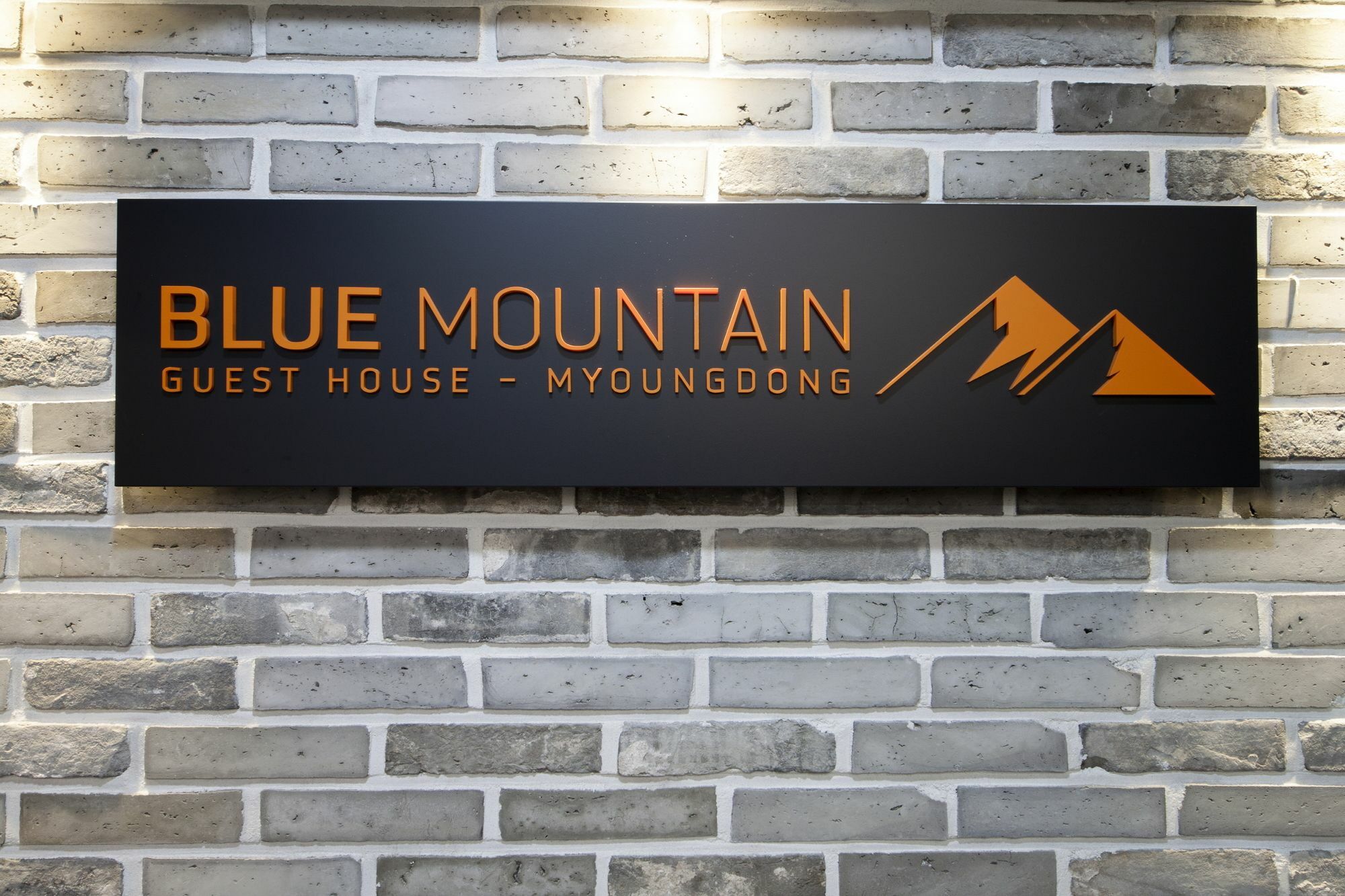 Blue Mountain Myeong-Dong Hotel Сеул Екстериор снимка