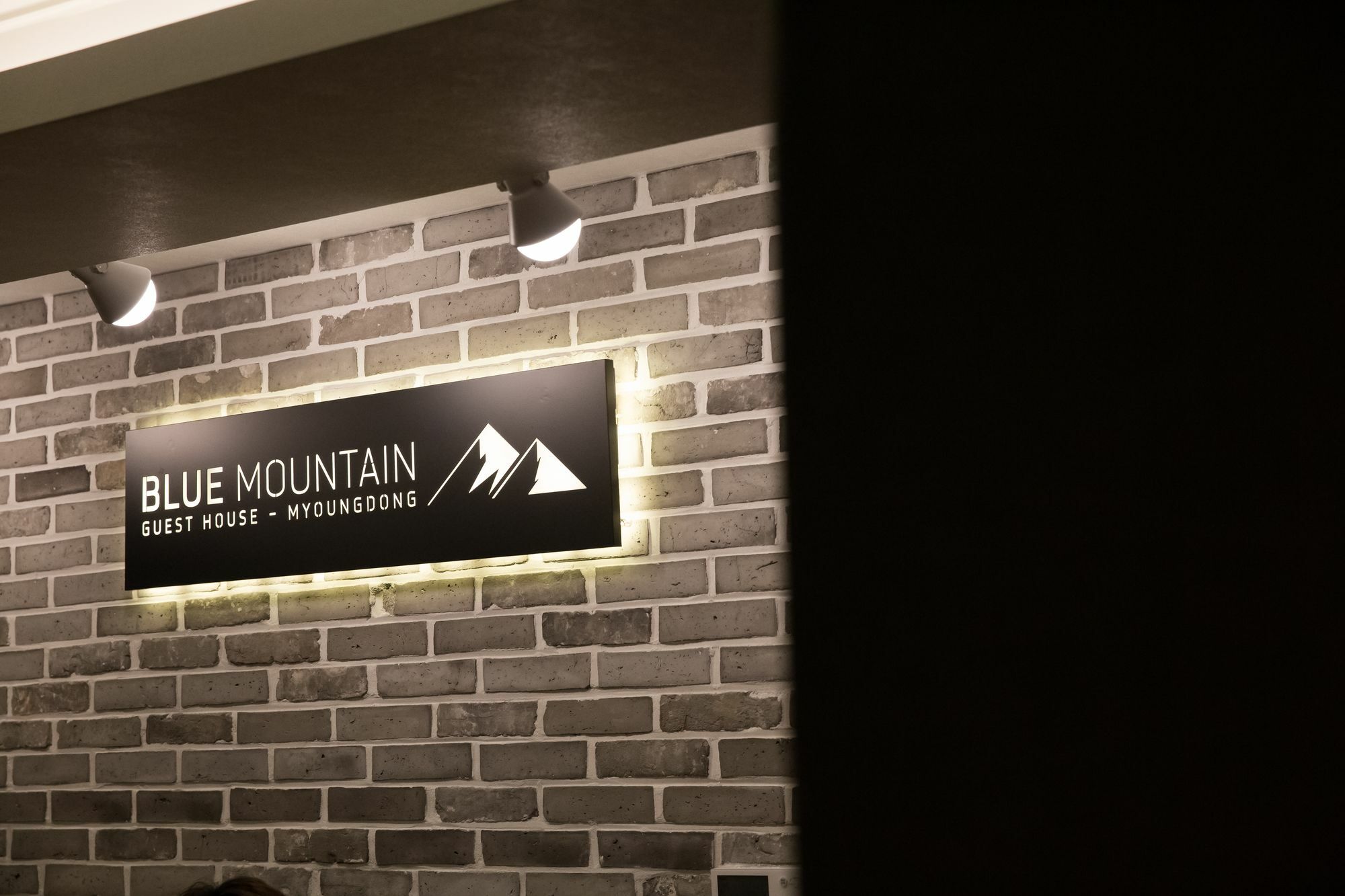 Blue Mountain Myeong-Dong Hotel Сеул Екстериор снимка